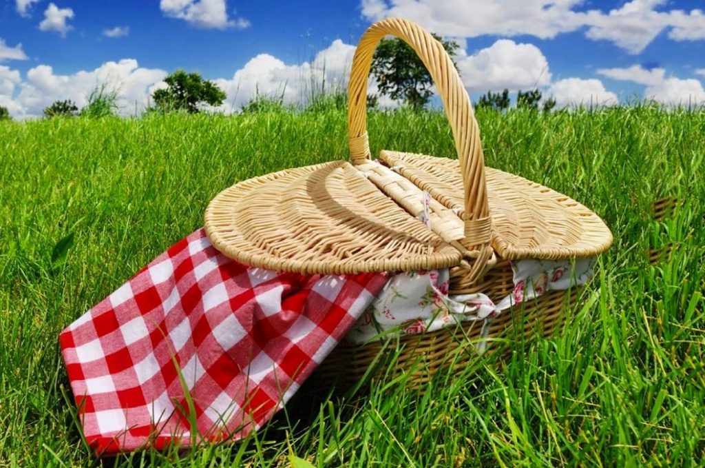 A Ferragosto il picnic a impatto positivo