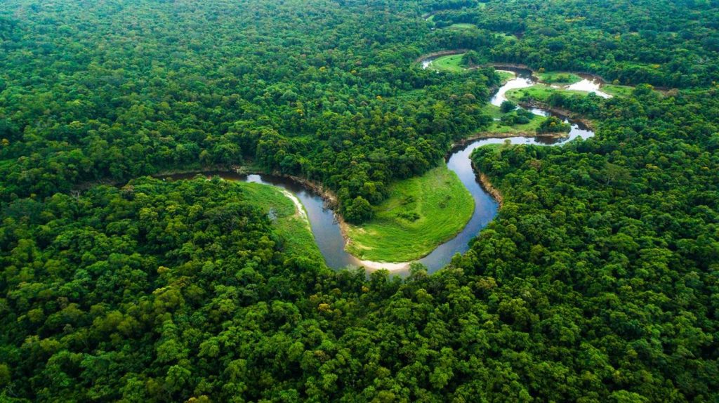 Amazzonia compromessa, vicina al punto di non ritorno. Lo studio