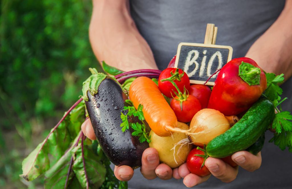 Approvata la legge sull’agricoltura biologica