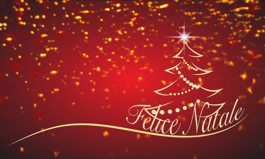 Auguri di Buon Natale da Terra Nuova