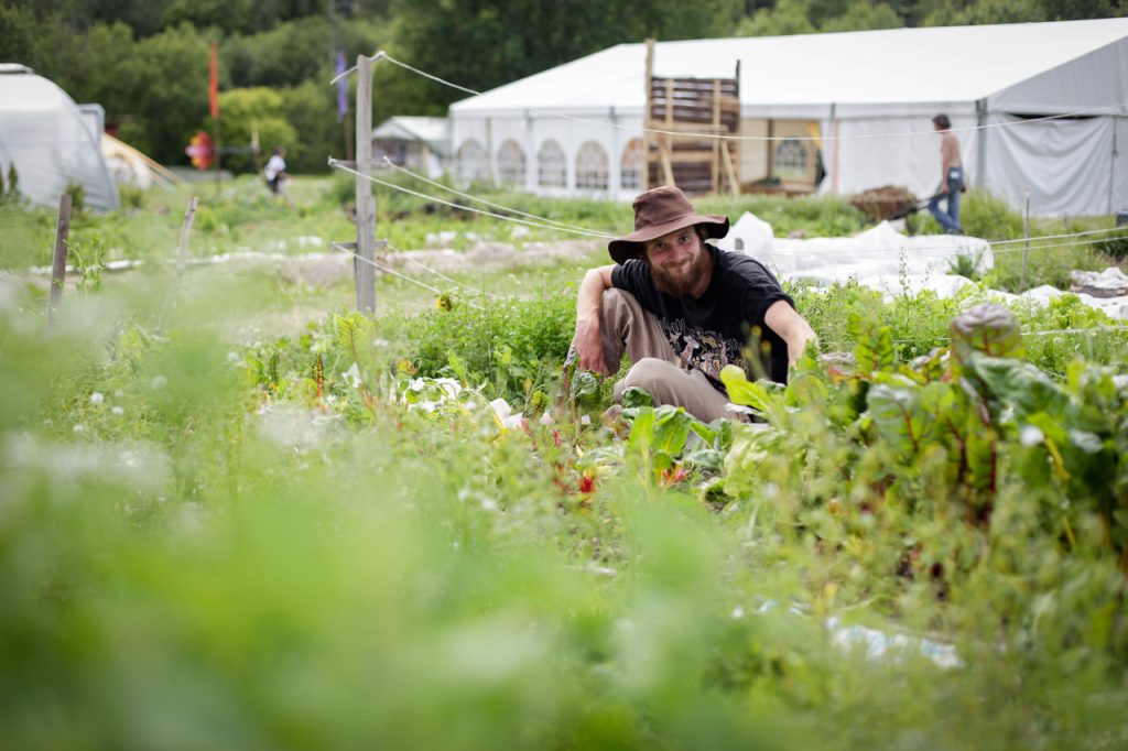 Azioni ecologiche per il futuro: agricoltura, economia e relazioni sociali.