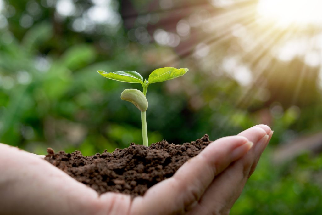 Biodinamica: la scienza (quella vera) conferma l’efficacia