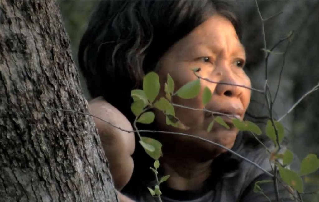 Bulldozer distruggono la foresta degli indigeni del Paraguay: la denuncia di Survival