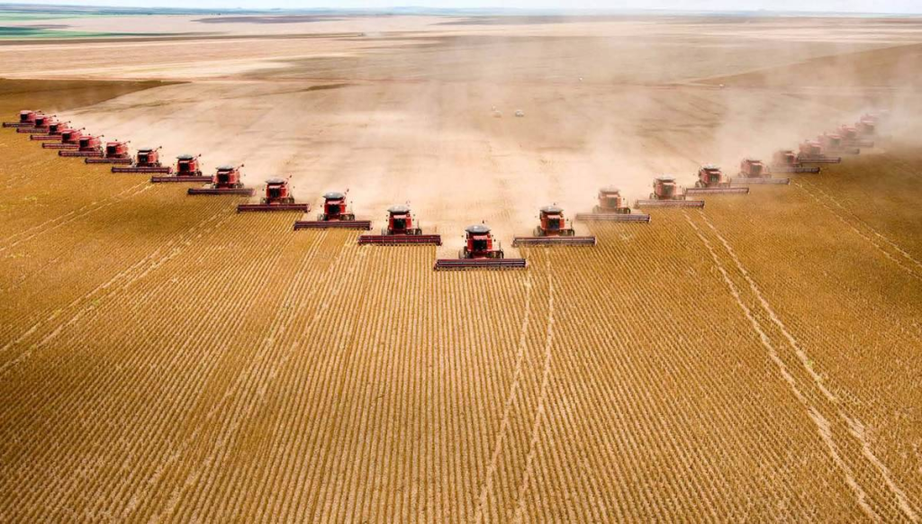 Cambia La Terra: «In Europa l’80% dei suoli agricoli contiene residui di fitofarmaci»