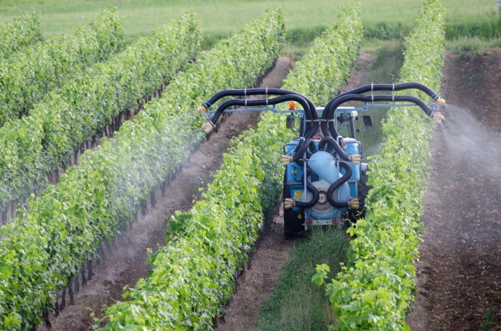 Campagna “Cambia la terra”: «Rivedere la direttiva UE sull’uso dei pesticidi»