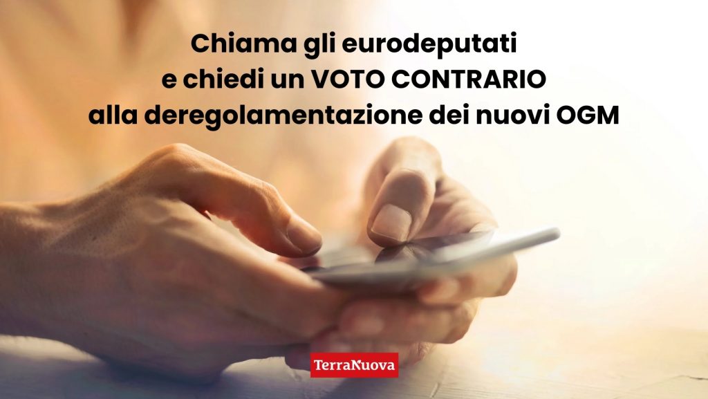 Chiama gli eurodeputati e chiedi un voto contrario alla deregolamentazione dei nuovi OGM