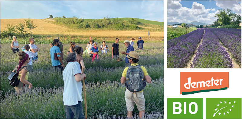 Coltivare con fiducia, praticando l’Agricoltura Biodinamica