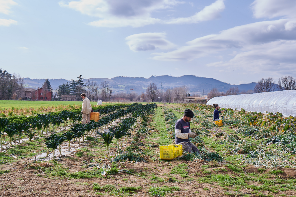 Comunità a Supporto dell’Agricoltura, una nuova prospettiva di produzione e consumo