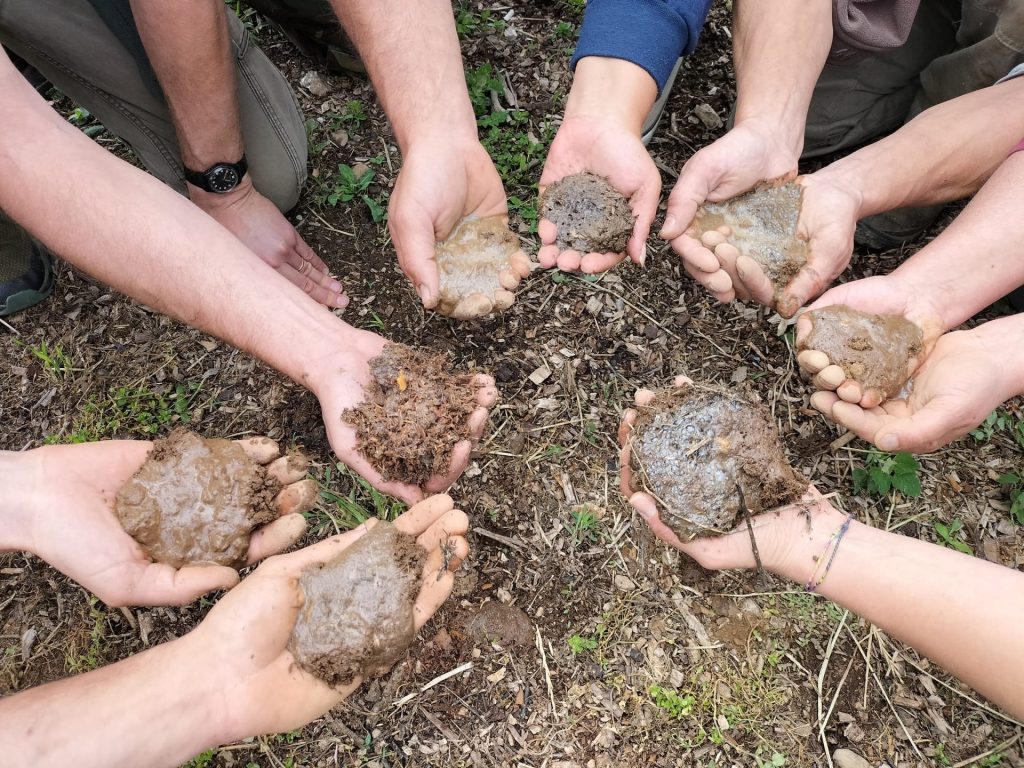 Cooperazione, formazione e produzione agricola: Deafal punto di riferimento per l’Agricoltura Organica Rigenerativa