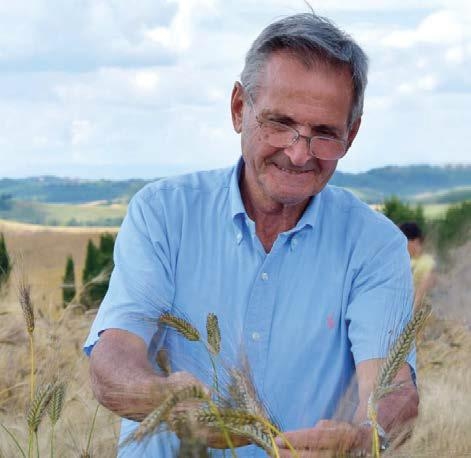 Covid-19 e produzione agricola