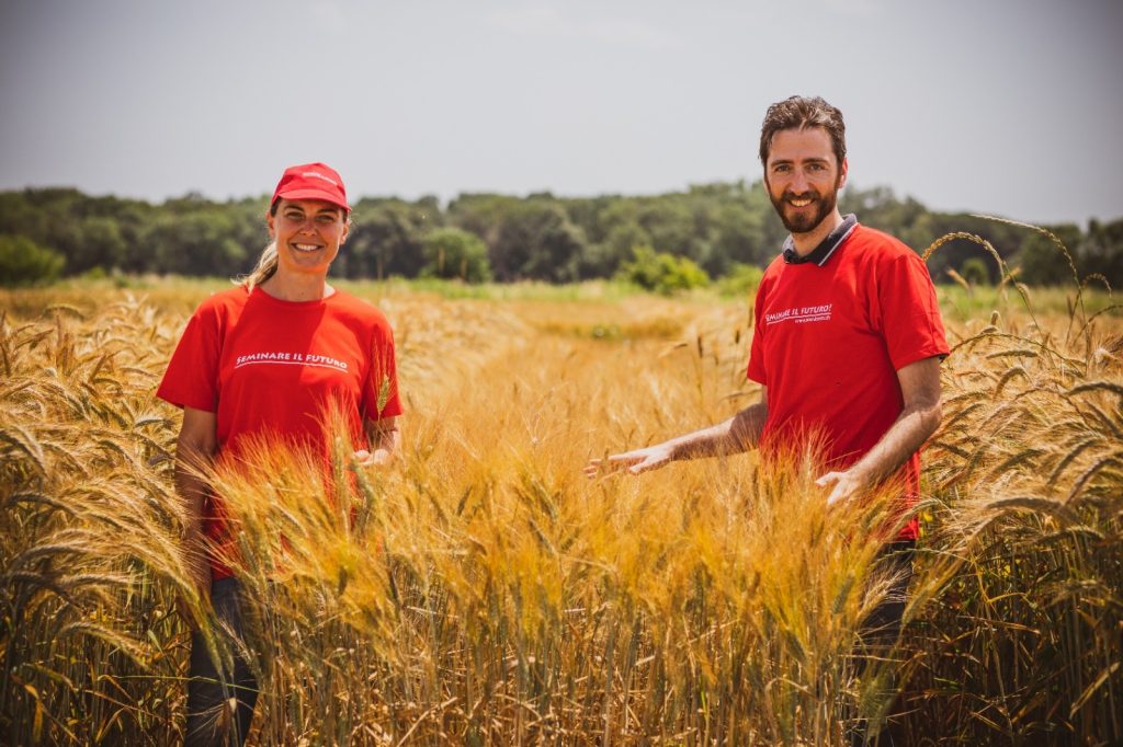 Dalla Fondazione Seminare il Futuro la varietà di grano duro biologico “Inizio”