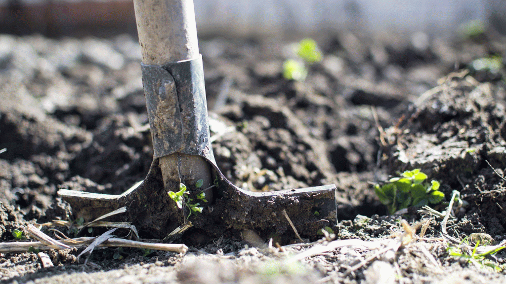 Dalla Francia ulteriori conferme: «Agricoltura biodinamica, solide basi scientifiche»