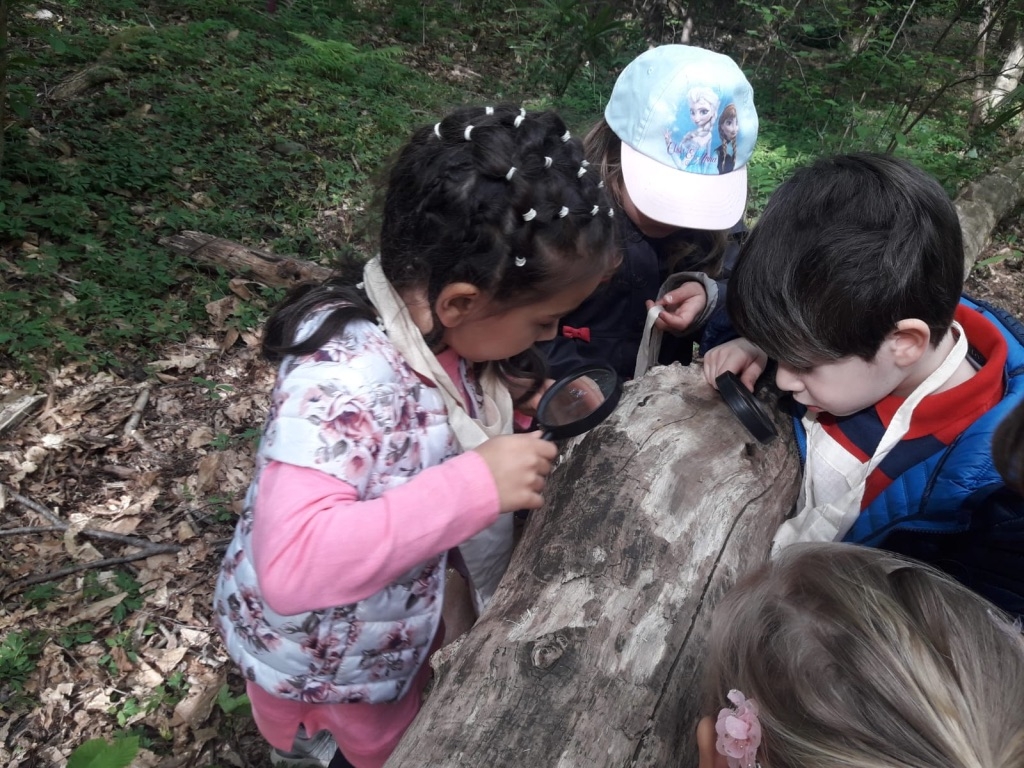 Dentro e fuori dall’aula: proseguono le “Passeggiate Montessori”