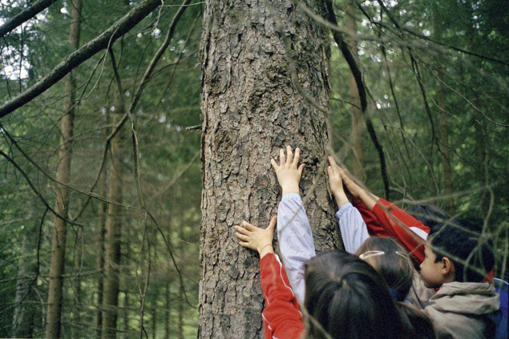 Educazione e natura, è ora di una riconnessione