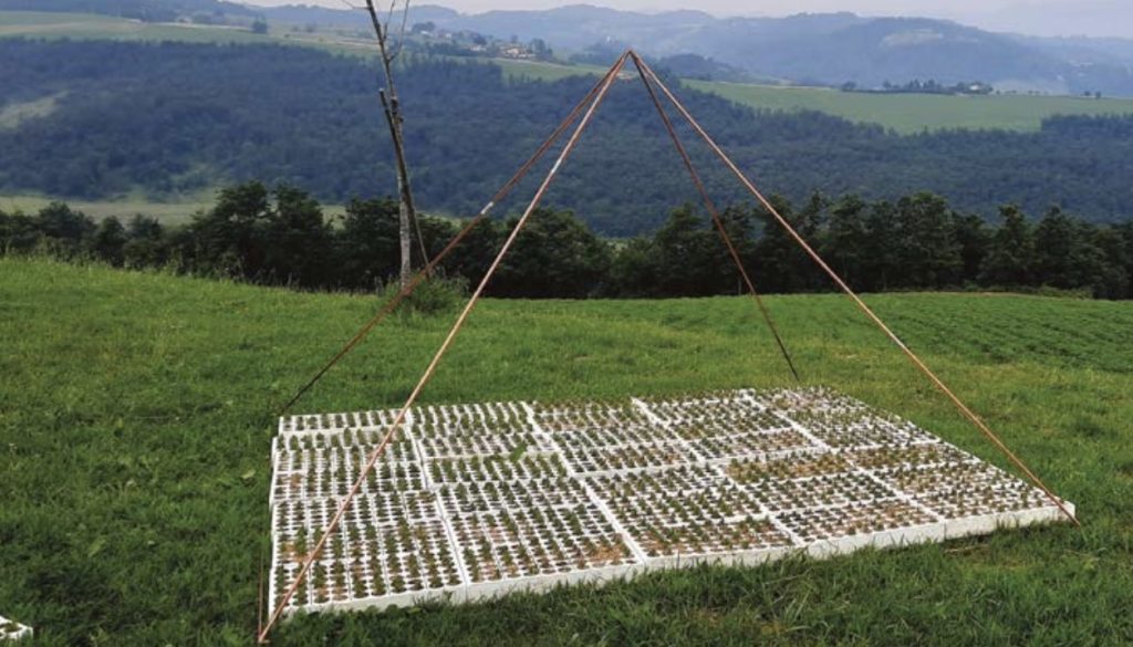 Elettrocoltura: una nuova frontiera agricola?