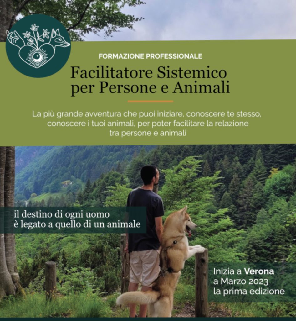 Facilitatore Sistemico per Persone e Animali