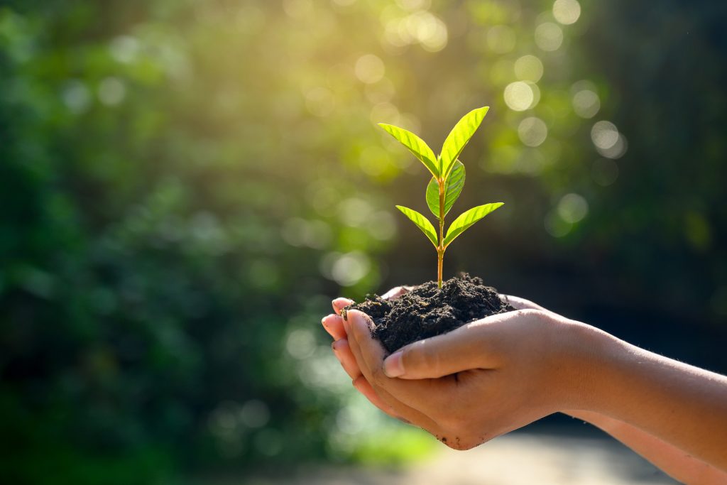 FederBio: gli emendamenti per l’agroecologia non passati nella Legge di bilancio