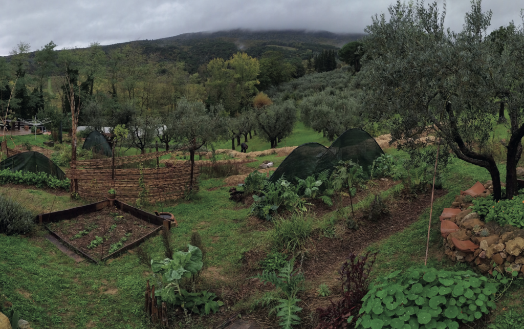 Food Forest, preparare un giardino commestibile: laboratorio con Saviana Parodi