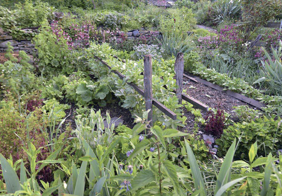 Food forest: il giardino commestibile