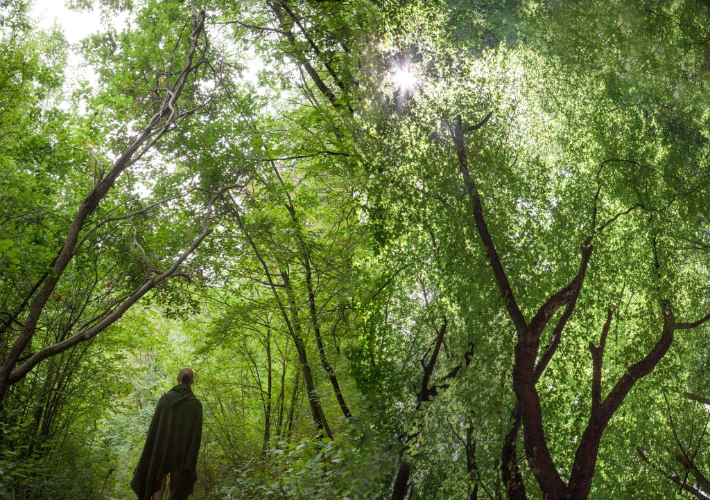 Gaia, la nuova umanità