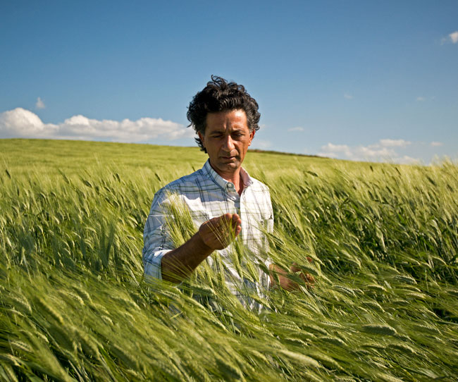 Giuseppe Li Rosi: «In Sicilia il 25% della biodiversità europea»