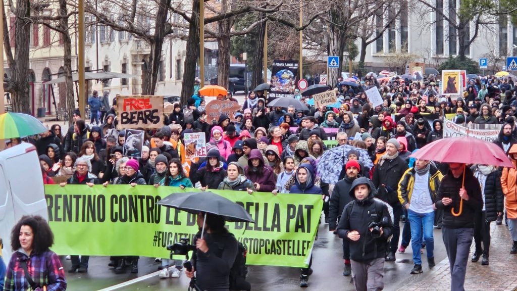 Gli attivisti di StopCasteller: «Convivere con gli orsi è possibile, basta con le uccisioni»