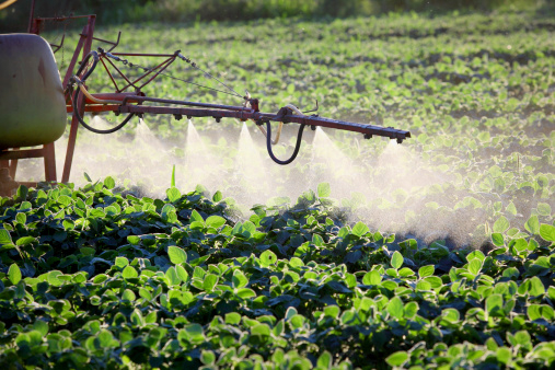 Glifosato, la “sicurezza” dell’erbicida è stata valutata ignorando il 90% degli studi