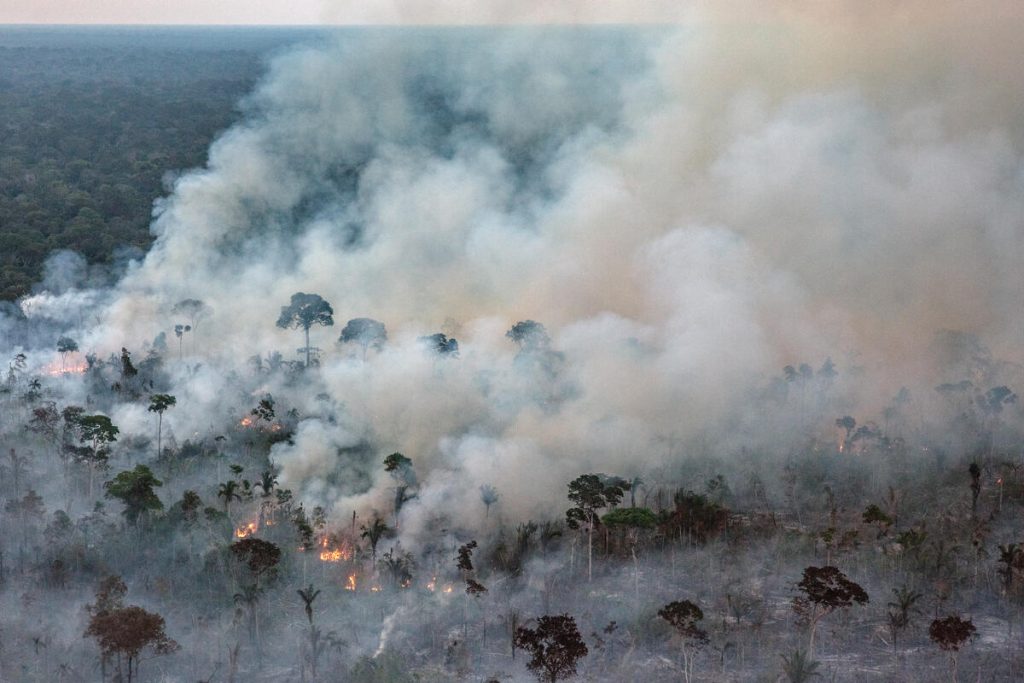 Greenpeace: «Ancora troppi incendi in Amazzonia»