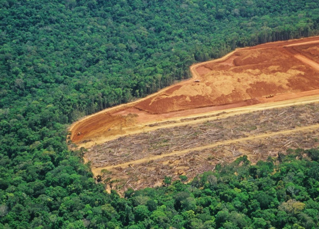 Greenpeace: «La UE corresponsabile della devastazione dell’Amazzonia»