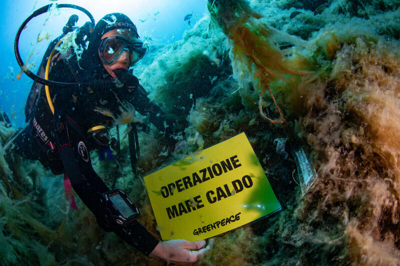 Greenpeace: «Nei nostri mari sempre più elevato l’impatto dei cambiamenti climatici»