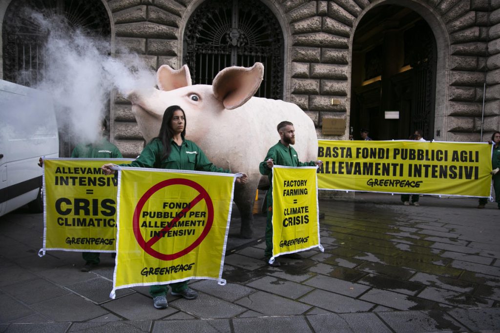 Greenpeace: «Ritirate la Pac, tutela solo l’agrobusiness»