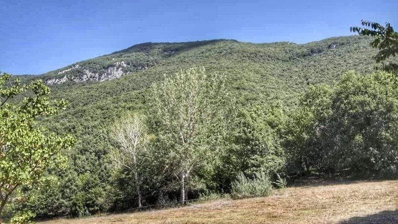 I cittadini di Subiaco: «Salviamo il bosco di Lucinetta»