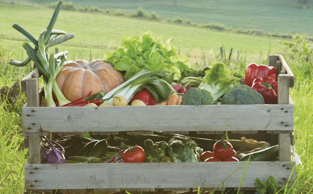 I nove preparati dell’agricoltura biodinamica