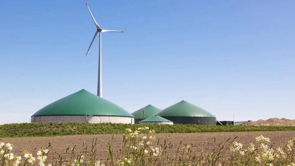 Il Biogas: una sfida verso la decarbonizzazione della filiera della carta