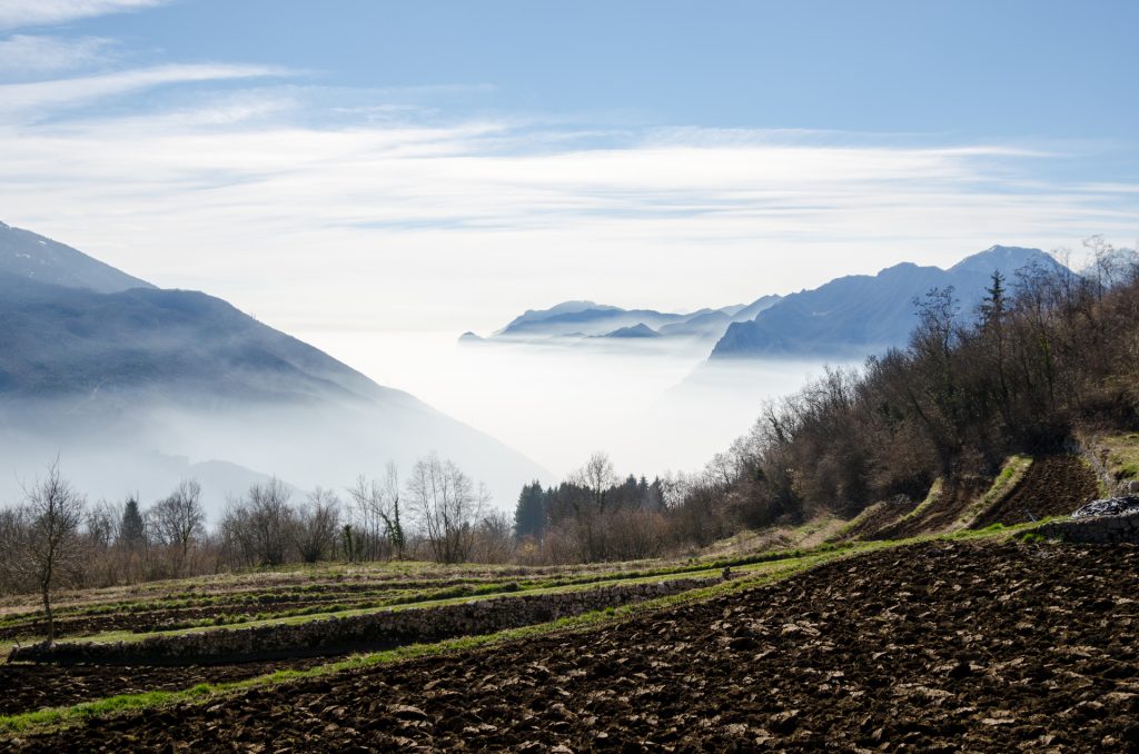 Il Manifesto della Ripartenza per il Paesaggio