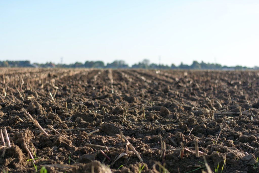 Il Movimento Salva il Suolo: «Un terreno sano riduce il rischio di crisi delle colture»