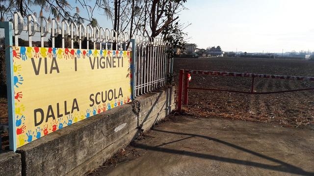 Il Tar conferma: «Vigneto abusivo vicino all’asilo va espiantato»