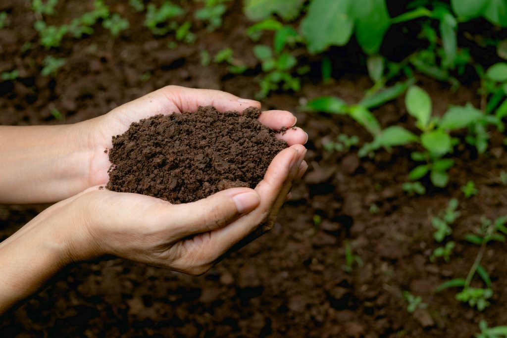 Il bokashi, la tecnica del compostaggio rapido