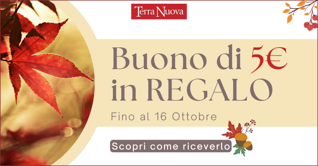 Il buono in regalo per fare il pieno… di letture!