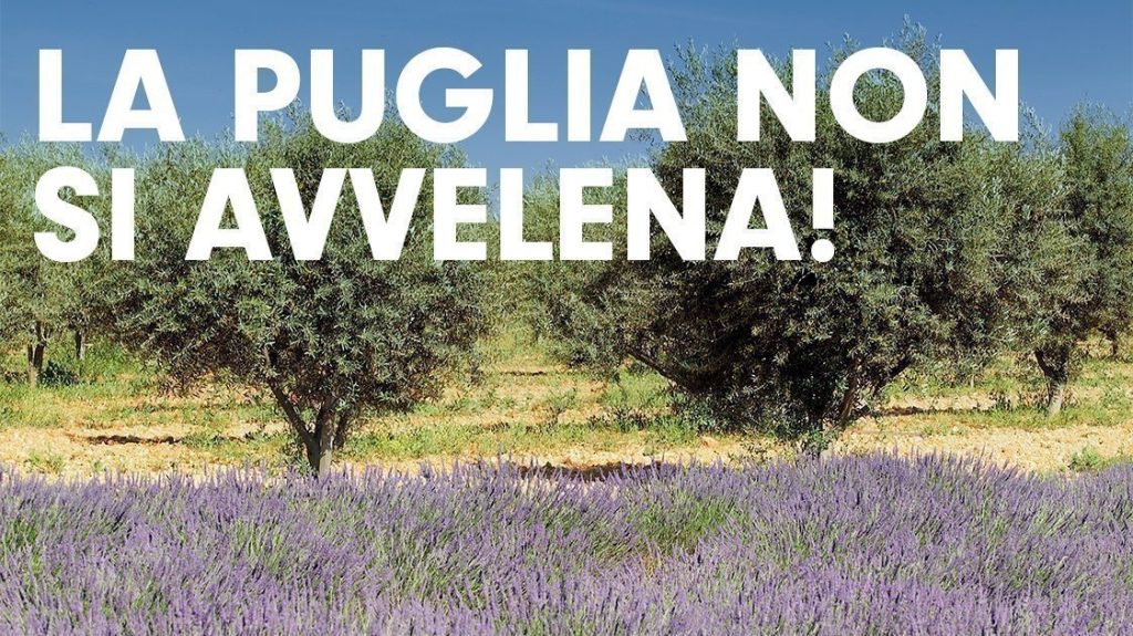 Il comitato “La Puglia non si avvelena” contro gli insetticidi imposti per la xylella