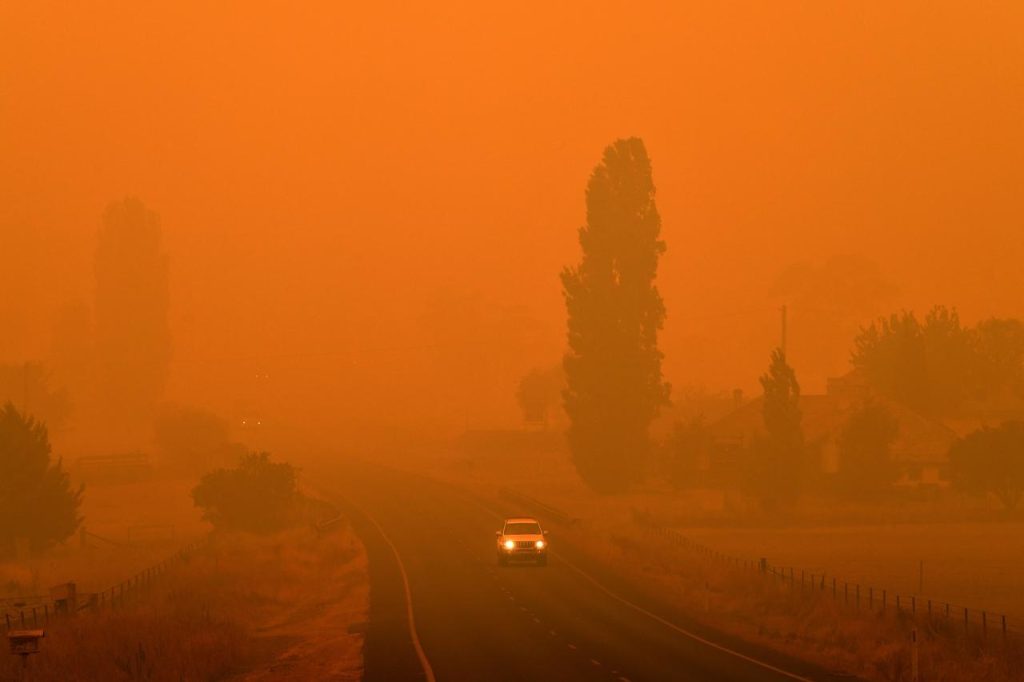 Incendi in Australia: si stimano 480 milioni di animali morti