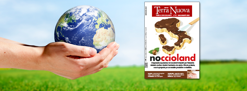 Inchiesta sulle monocolture intensive di nocciole… sul numero di Luglio-Agosto 2020 di Terra Nuova