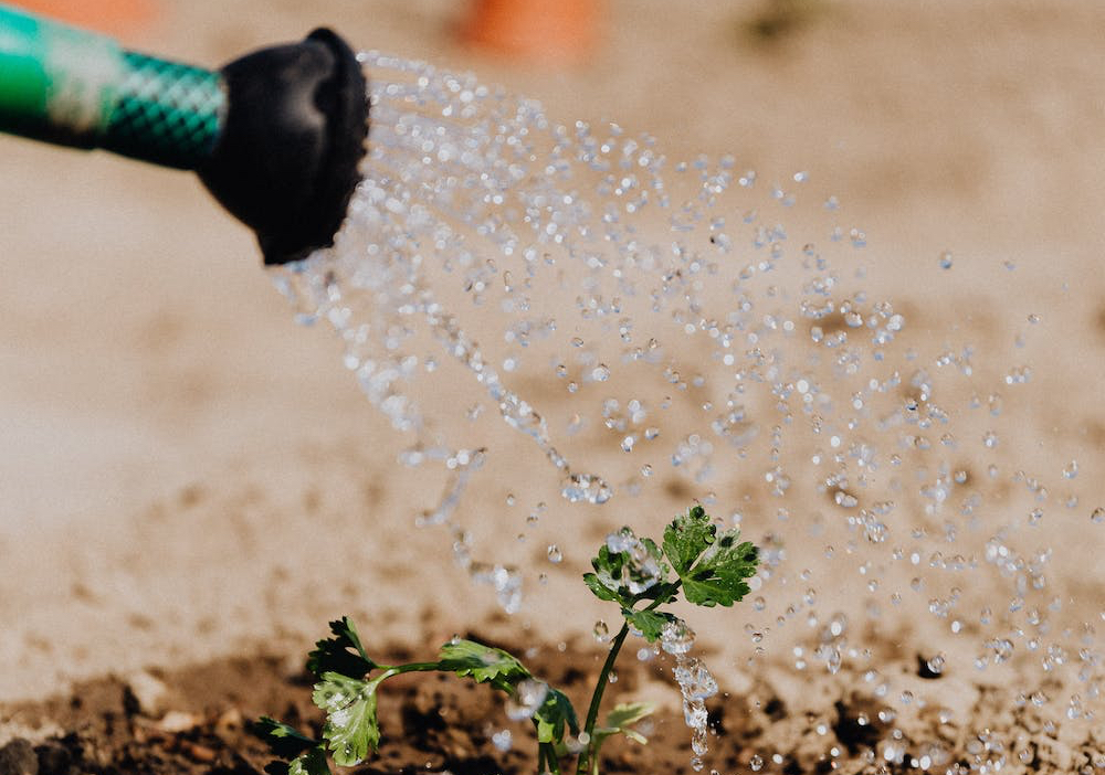 Irrigazioni: diventiamo più efficienti!