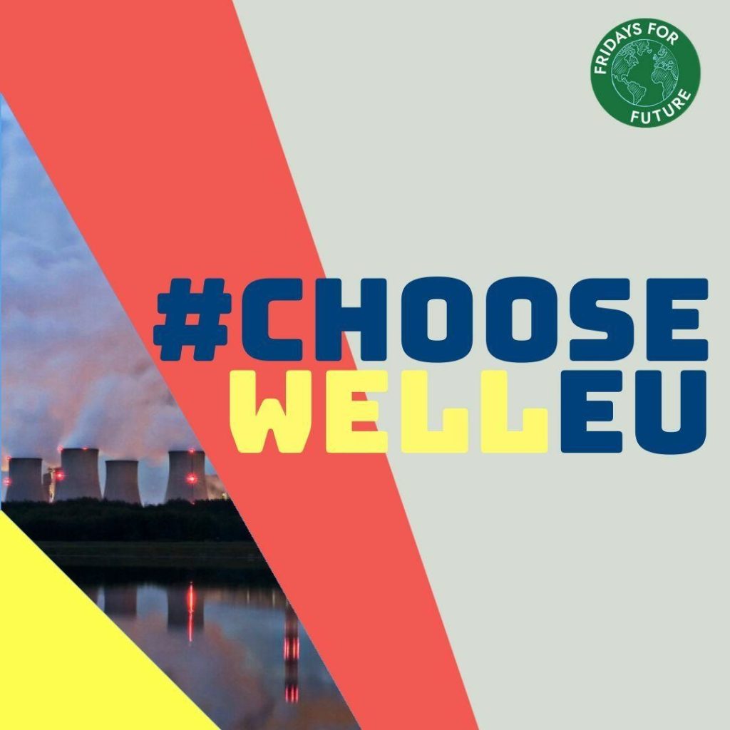 L’appello dei Fridays For Future: «Choose Well EU, Scegli Bene Europa»