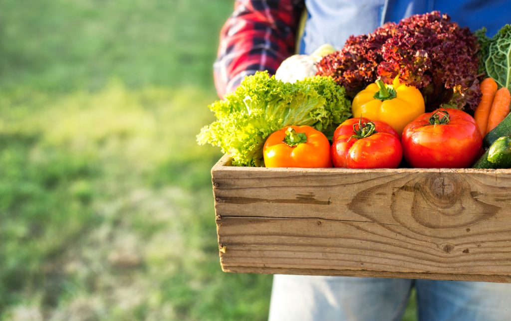 L’essenziale del cibo