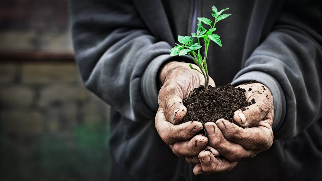 “L’insopportabile efficacia dell’agricoltura biodinamica” diventa testo istituzionale