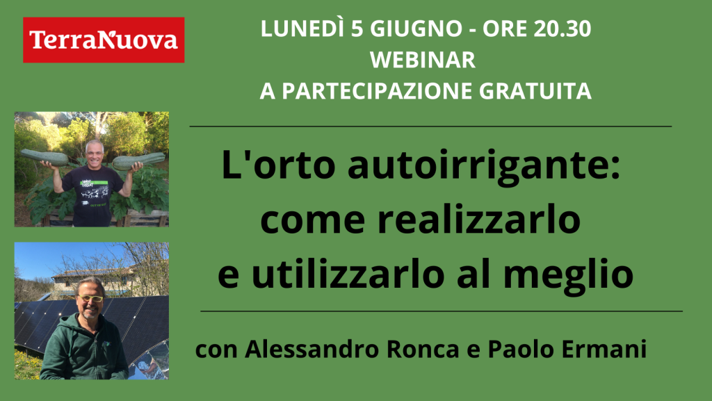 L’orto autoirrigante: webinar gratuito per realizzarlo e utilizzarlo al meglio