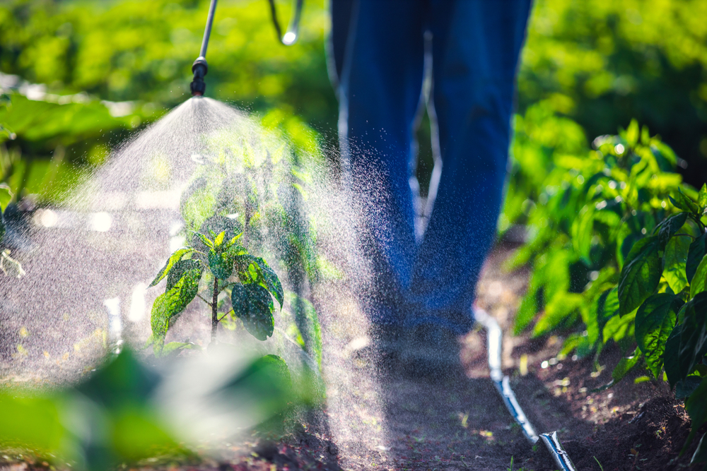 La Campagna “Cambia la terra”: «Non cala la vendita di pesticidi in Europa»