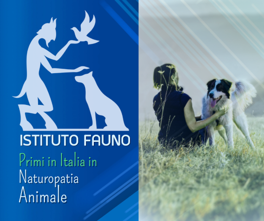 La Naturopatia per gli animali