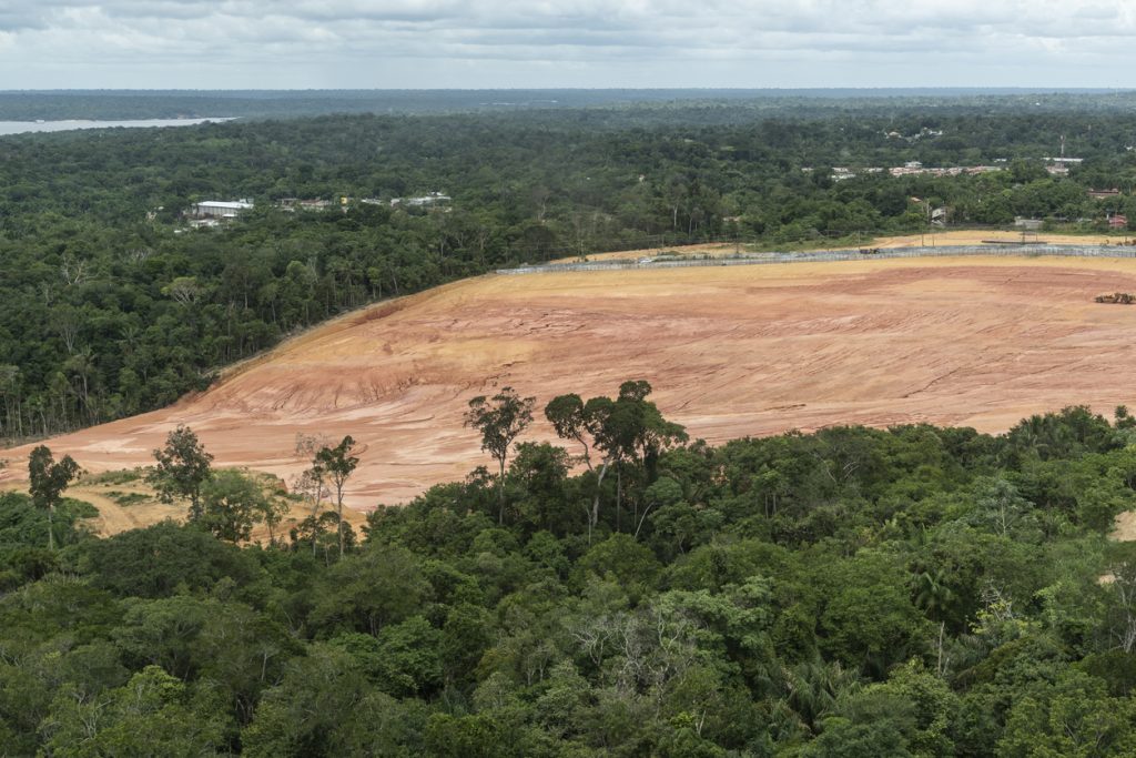 La deforestazione non si ferma